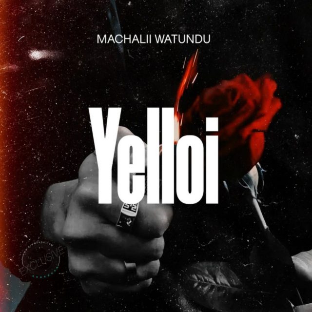 Download Audio | Machalii Watundu – Yelloi
