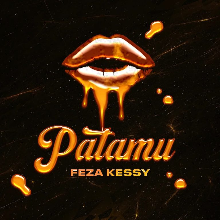 Download Audio | Feza Kessy – Patamu