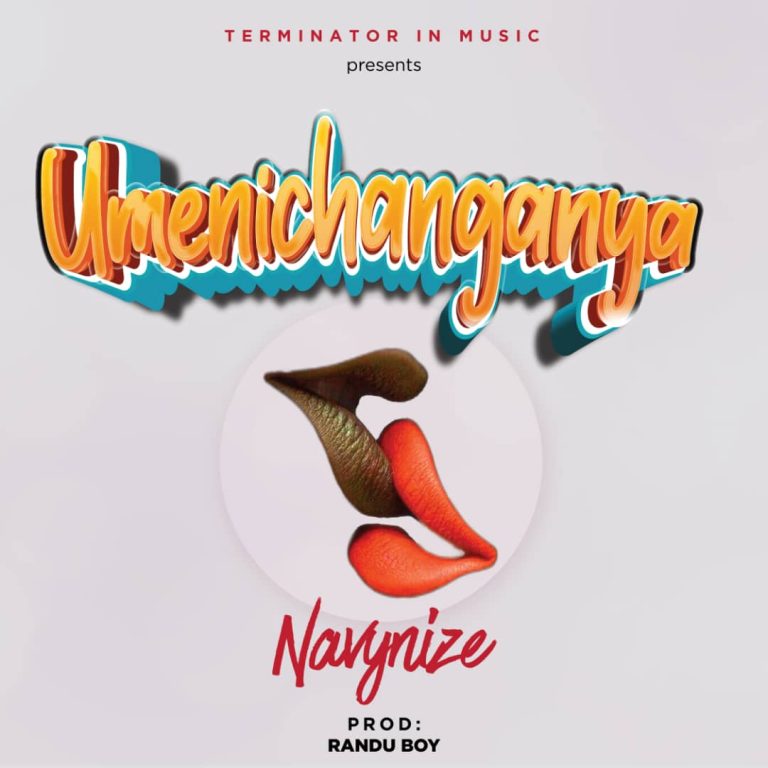 Download Audio | Navynize – Umenichanganyaa