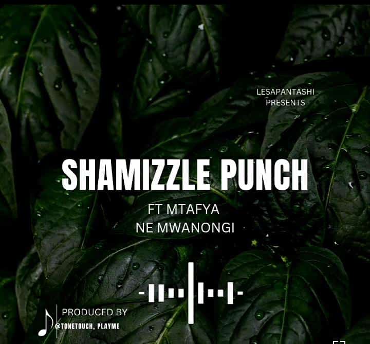 Download Audio | Shamizzle Punch Ft. Mtafya – Ne Mwanongi