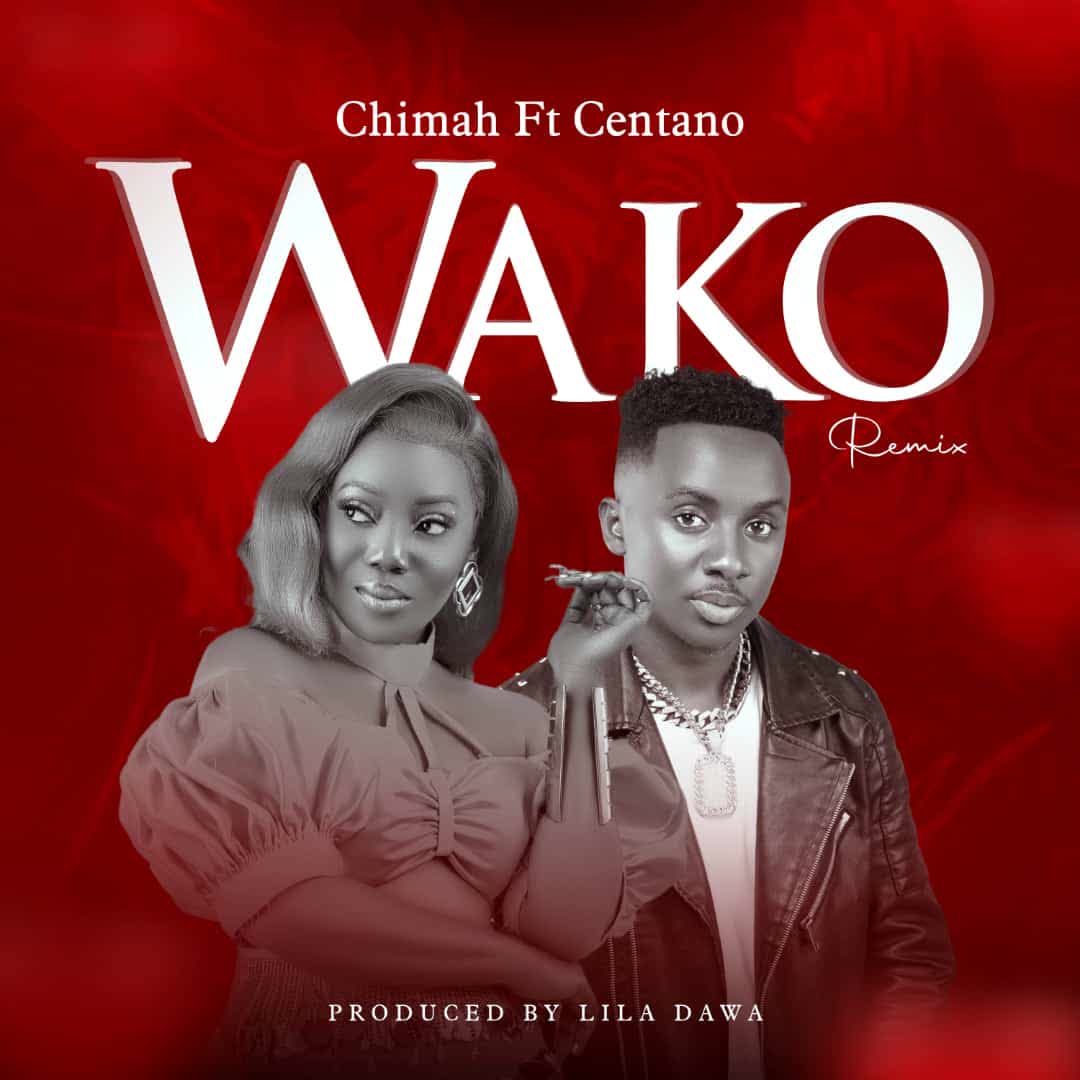 Download Audio | Chimah Ft. Centano – Wako Remix