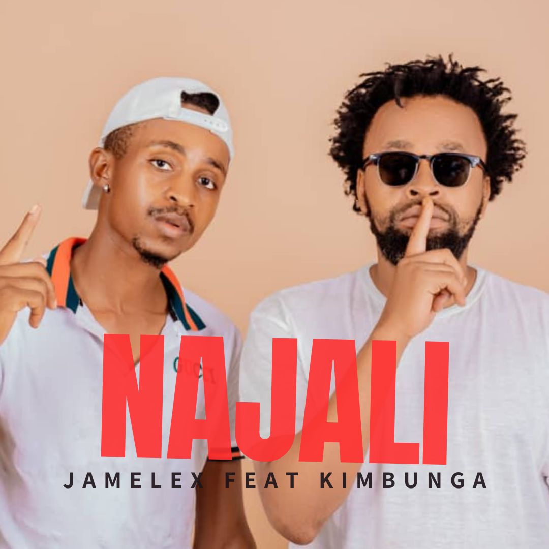 Download Audio | Jamelex Ft. Kimbunga – Najali