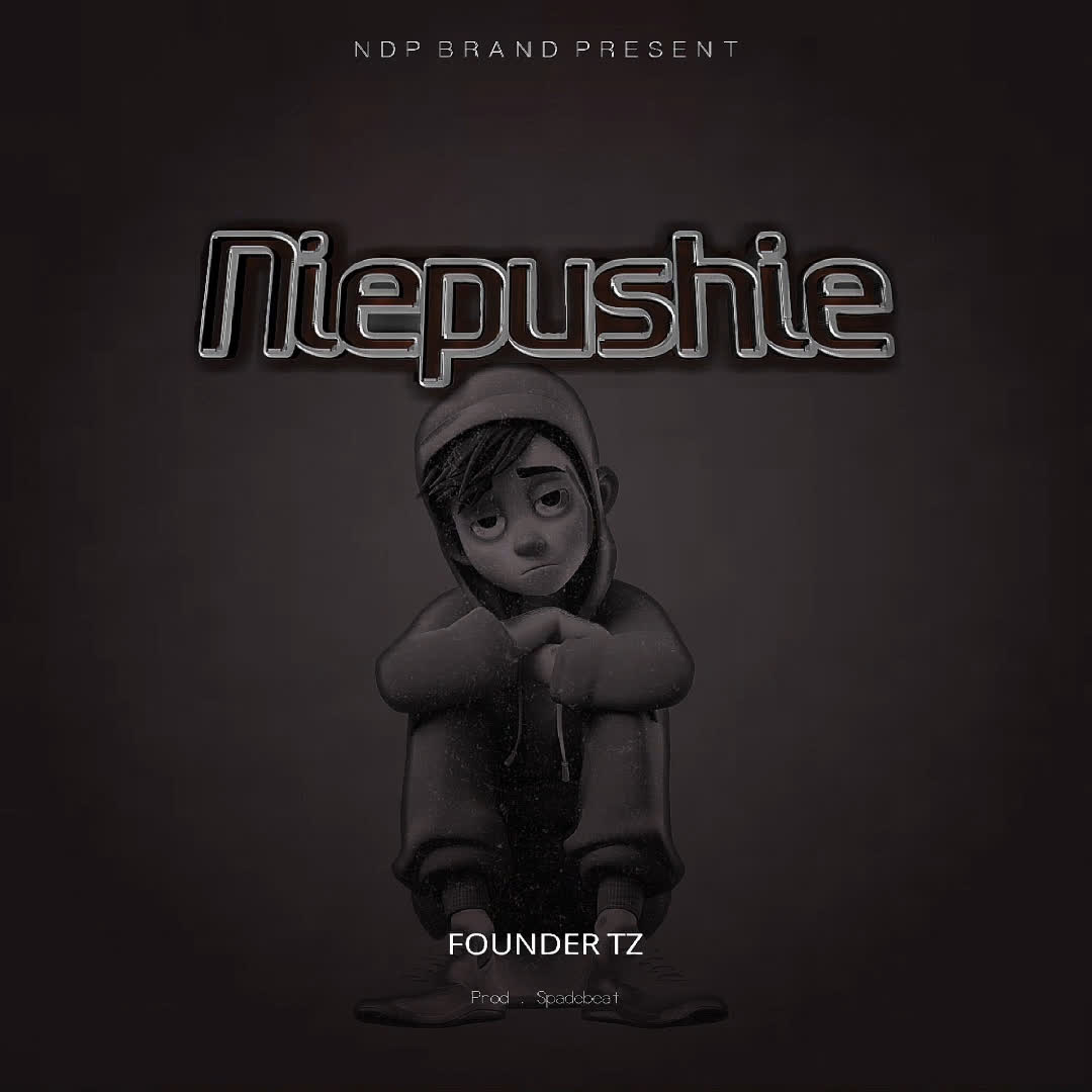 Download Audio | Founder Tz – Niepushie