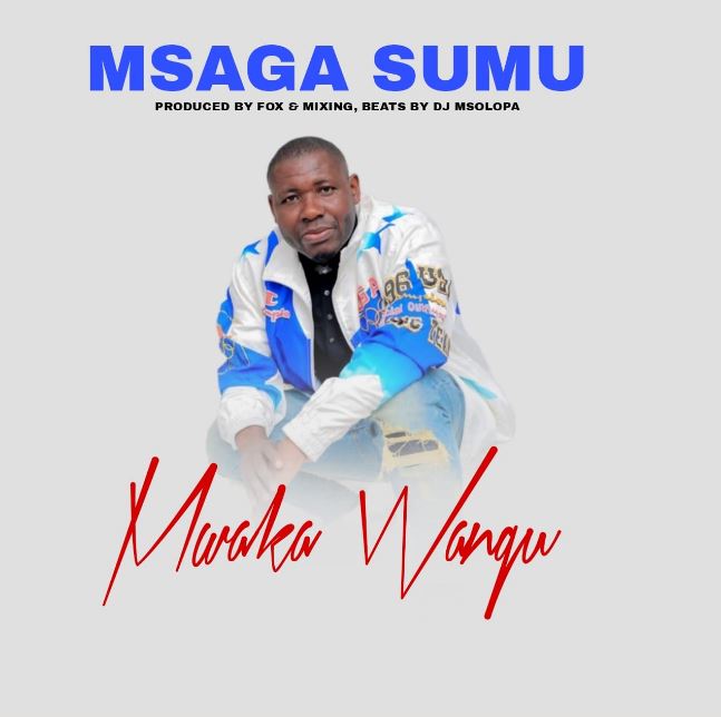 Download Audio | Msaga Sumu – Mwaka Wangu