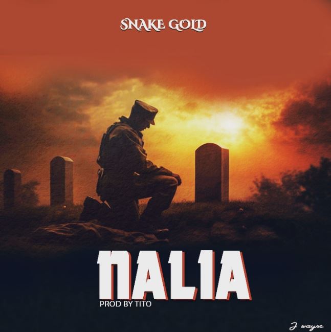 Download Audio | Snake Gold – Nalia