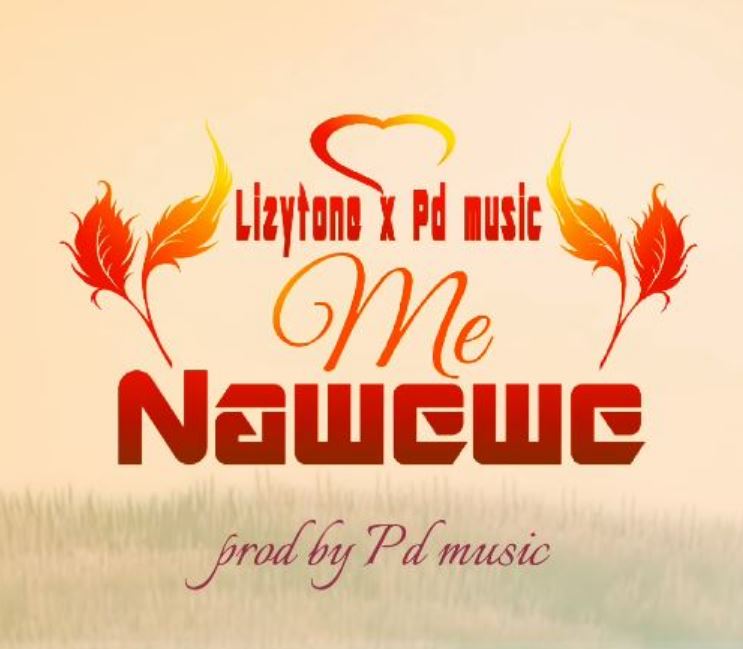 Download Audio | Lizytone X Pd Music – Me Nawewe