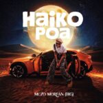 Mczo Morfan (big) – Haiko Poa