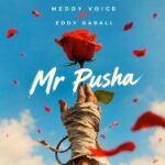 Meddy Voice Ft Eddy Gabali – Mr Pusha