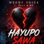 Meddy Voice – Hayupo Sawa