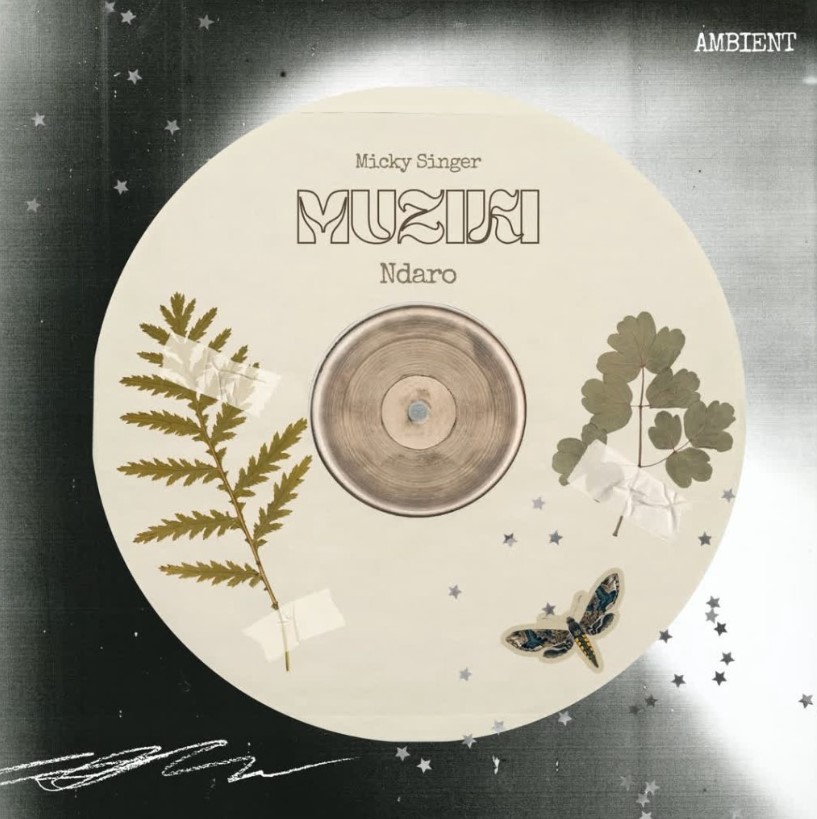 Micky Singer X Ndaro β Muziki