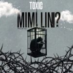 Toxic – Mimi Lini